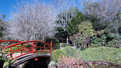 Close-shot-of-Red-bridge,-Ju-Raku-En-Japanese-Garden,-Toowoomba-Australia