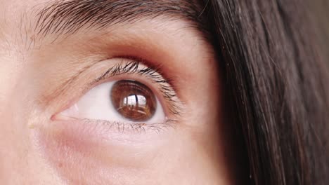 Human-eye-closeup,-brown-eye-with-window-reflection