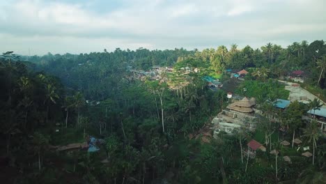 Disparo-De-Drones-Volando-Sobre-Las-Terrazas-De-Arroz-Tegallalang-En-Ubod,-Bali