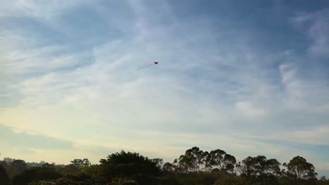 Fallschirmspringen-In-Einem-öffentlichen-Park-An-Einem-Typischen-Sommertag