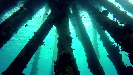 Unterwasser-Pierpfähle-Mit-Fischen-Und-Sonnenstrahlen,-Die-Durch-Das-Wasser-Kommen