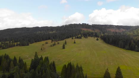 Aerial-upwards-over-wide-open-meadow-in-dense-forest-aera-with-mountains-in-background-on-bright-and-sunny-day