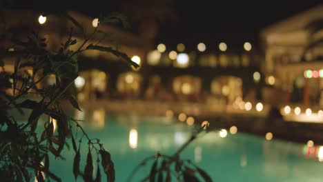 Verschwommenes-Hotel-–-Poolbereich-Des-Resorts-–-Nahaufnahme-Einer-Pflanze-–-Abend-–-Zeitlupe