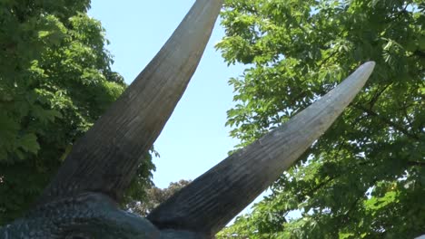 Realistic-dinosaur,-tricheraptus-Head-and-horns-in-dino-park