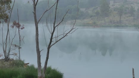 Niebla-Moviéndose-Hacia-La-Derecha-Sobre-Un-Lago