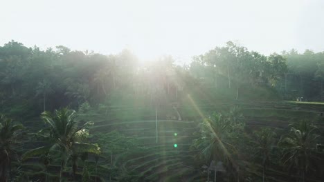 Drone-Shot-flying-through-a-heart-over-the-Tegalalang-Rice-Terraces-in-Bali,-Indonesia