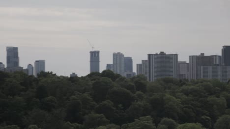 Skyline-of-a-busy-Metropolis,-forest-trees-are-seen-in-the-foreground