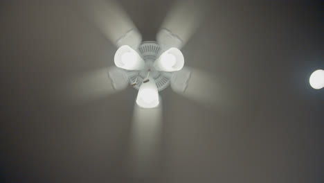 Ceiling-fan-looking-straight-up