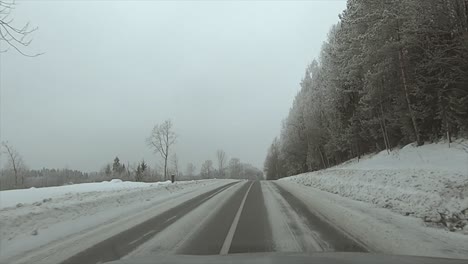 Camino-De-Invierno-Con-Hermosos-árboles-Blancos