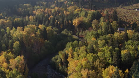 Aerial-reveal-over-a-small-winding-creek-with-conifer-and-deciduous-tree-along-its-sides-with-Autumn-colors-beginning-to-appear-–-part-1