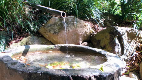 Japanese-Water-Feature,-Brisbane-Gardens