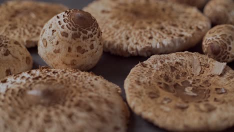 Hand-picked-mushrooms-Macrolepiota-procera-on-the-table,-slide,-close-up