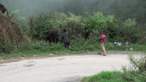 Kathmandu,-Nepal---September-27,-2019:-Two-Nepali-boys-herding-water-buffalo-in-the-mountains-around-Kathmandu,-Nepal-on-September-27,-2019