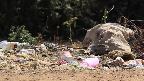 Mülltonne-Mit-Papieren-Und-Kunststoffen,-Die-Die-Umwelt-Verschmutzen