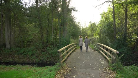 Two-women-walking-over-foot-bridge-through-forest-pathway-during-daytime
