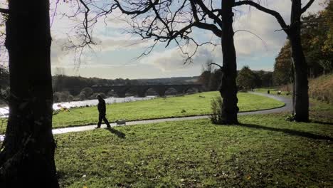 Aberdeen-Riverside-park-looking-towards-Old-Bridge-of-Dee-with-man-walking-his-dog