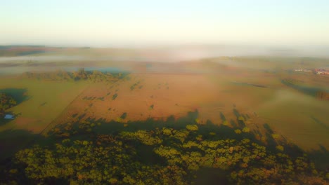 Early-morning-mist,-grasslands,-rainforest-and-pine-trees-just-after-sunrise