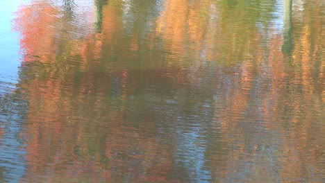 Das-Wasser-Bewegt-Sich-Und-Man-Kann-Die-Farben-Der-Herbstblätter-Im-Spiegelbild-Sehen