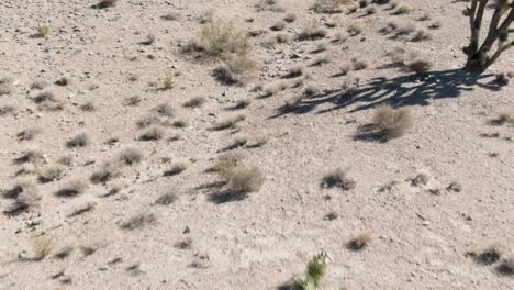 Nach-Unten-Gerichtete-Luftaufnahmen-Aus-Geringer-Höhe-über-Trockenem-Wüstenland,-Das-Mit-Sträuchern,-Felsen,-Sand-Und-Kakteen-In-Der-Mojave-Wüste-Bedeckt-Ist