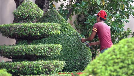 Man-Trimming-Hedge-with-Hedge-Clipper-in-a-Garden