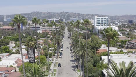 Aerial-fly-through-palm-trees-on-Beverly-Hills-street-during-the-afternoon