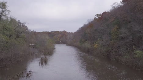 trees-near-river-in-pennsylvania