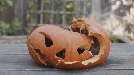 Slow-motion-close-up-of-a-rotten-jack-o-lantern-being-hit-with-a-hammer