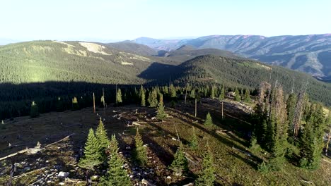 Flug-über-Einem-Alten-Wald-Mit-Neuen-Und-Umgestürzten-Bäumen-Mit-Blick-Auf-Hochgelegene-Gipfel-In-Den-Colorado-Mountains