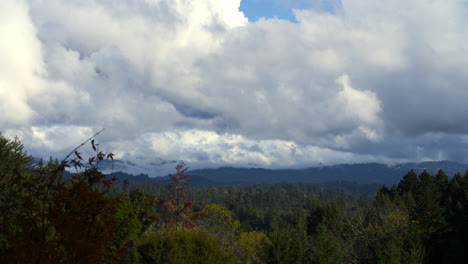 Timelapse-of-Clouds-Roiling-in-Forested-Valley