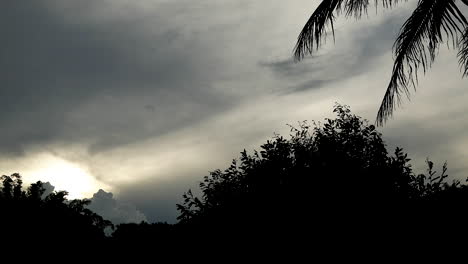Time-lapse-of-cloudy-sky,-silhouette-of-trees-and-dusk,-nightfall