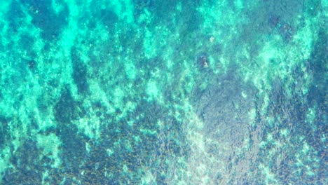 Beautiful-colorful-abstract-sea-texture-with-coral-reefs-and-pebbles-under-turquoise-water-of-calm-lagoon-in-Bahamas