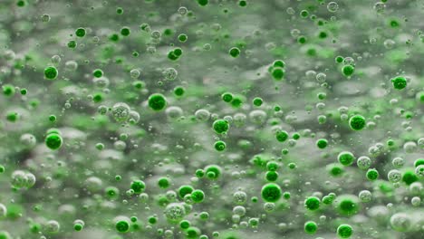 Viele-Kleine-Grüne-Blasen-Versinken-Langsam-Im-Wasser