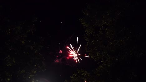 Colorful-Fireworks-scene-in-slow-motion-surrounded-by-trees-at-night
