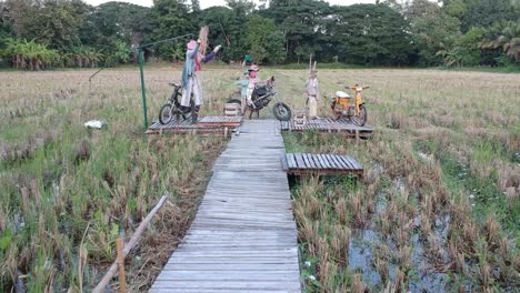 Drone-flying-low-over-jetty-with-scarecrow-and-over-a-rice-field