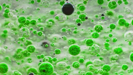 macro-shot-of-green-bubbles-in-water-with-one-big-black-bubble-slowly-falling-to-ground