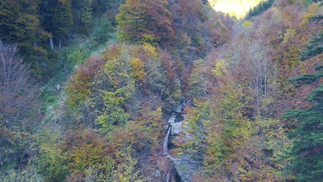 Drohne-Fliegt-Im-Herbst-In-Richtung-Eines-Tals-über-Einem-Gebirgsbach-Und-Bunten-Bäumen-In-Den-österreichischen-Alpen