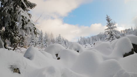 White-clouds-time-lapse-in-forest-covered-by-fresh-snow,-Europe