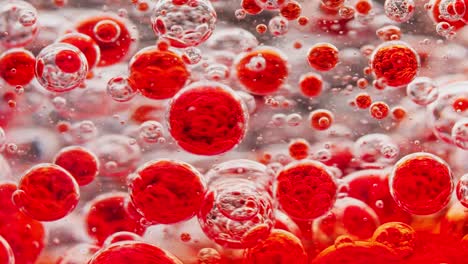 macro-shot-of-many-red-bubbles-moving-around-in-water