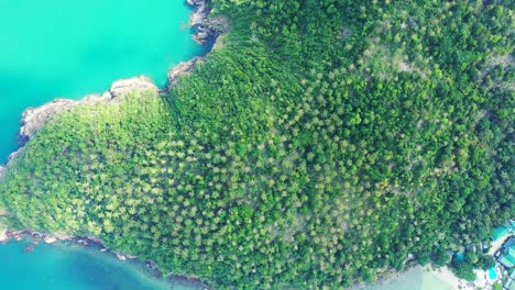 Isla-Tropical,-Bosque-De-Palmeras,-Acantilados-Y-Costa-Rocosa