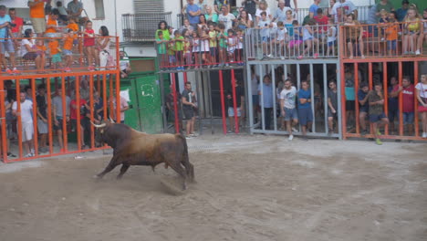 Slow-motion-long-shot-of-a-bull-charging-at-arena-cages