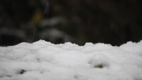 Snowing-on-the-ground,-close-up,-winter-season