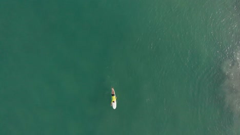 Vertical-aerial-footage-showing-surfers-floating-on-their-surfing-boards,-practicing-and-learning-the-recreational-sports-of-surfing-on-water