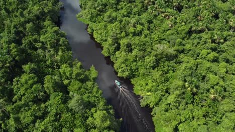 Tour-boat-on-Rio-Orinoco-Delta,-Venezuela-lined-by-lush-dense-tropical-rainforest,-dark-black-waters-aerial-top-down
