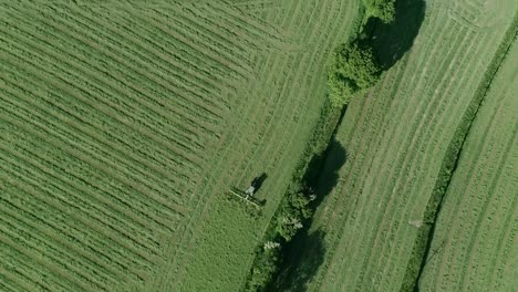Aerial-of-a-farmer-tedding-the-first-of-multiple-fields
