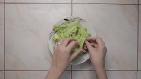 Close-up-on-Female-Hands-Separating-Chinese-Cabbage-Leaves-and-Putting-on-a-Plate
