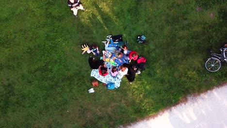 Aerial-top-view-of-a-group-of-kids-playing-with-two-bernese-dogs-in-a-city-park