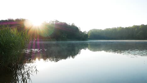 Fog-creeping-along-the-surface-of-the-lake-while-sun-shows-up-from-behind-the-trees-in-early-morning