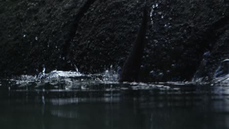 Otter-Springt-In-Epische-Zeitlupe-Ins-Wasser