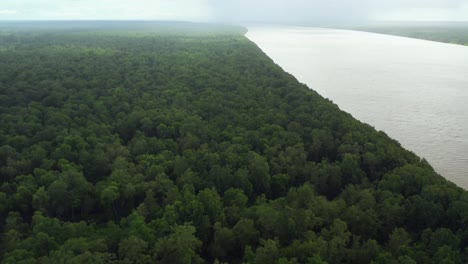 Aerial:-Amazon-River-flowing-through-thick-rainforest,-tilt-reveal