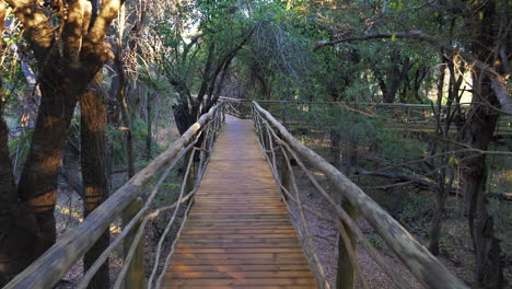 Von-Bäumen-Umgebener-Holzsteg-Zur-Safari-Lodge-Im-Okavango-Delta,-Botswana